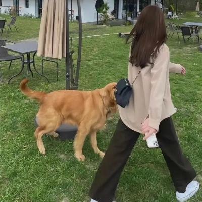 偶像必须单身